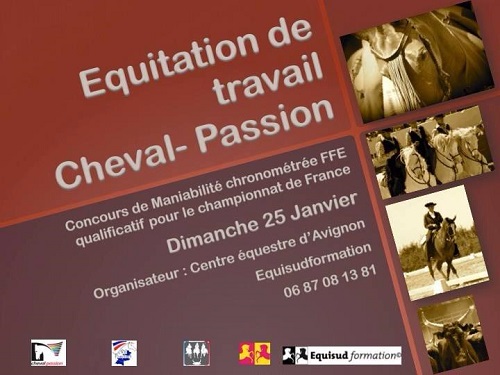 camargue equitation