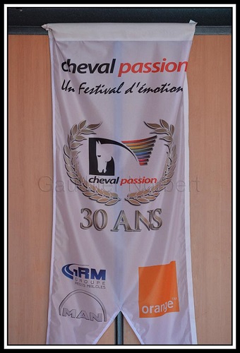 camargue equitation