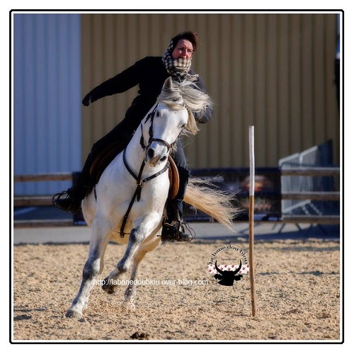 camargue equitation