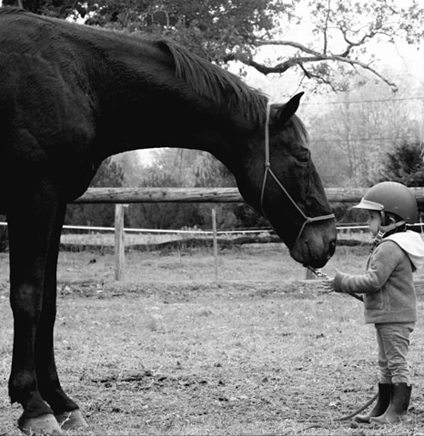 camargue equitation