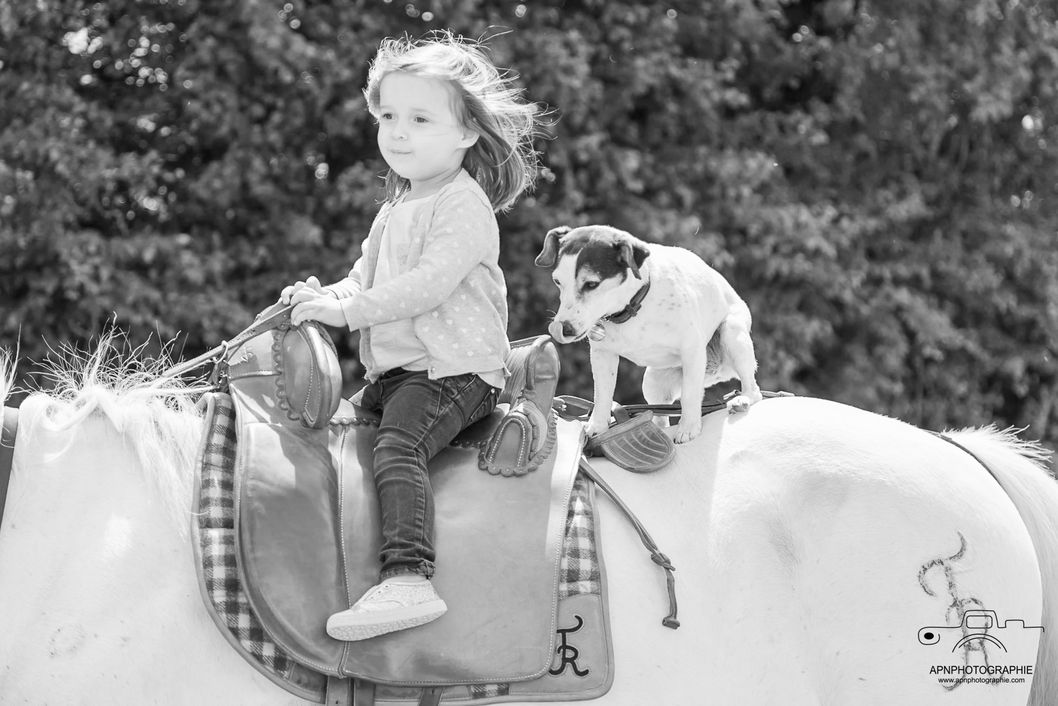 camargue equitation
