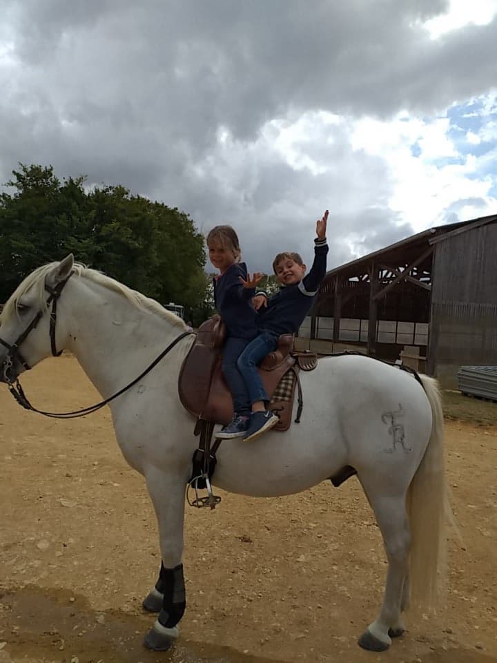 camargue equitation