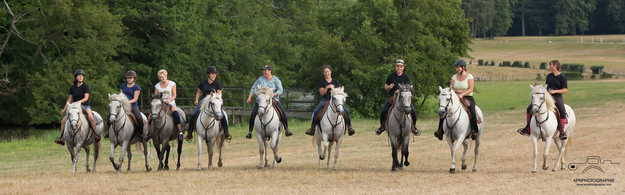 camargue equitation