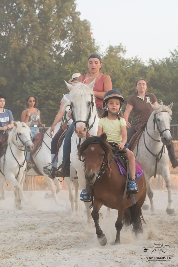 camargue equitation
