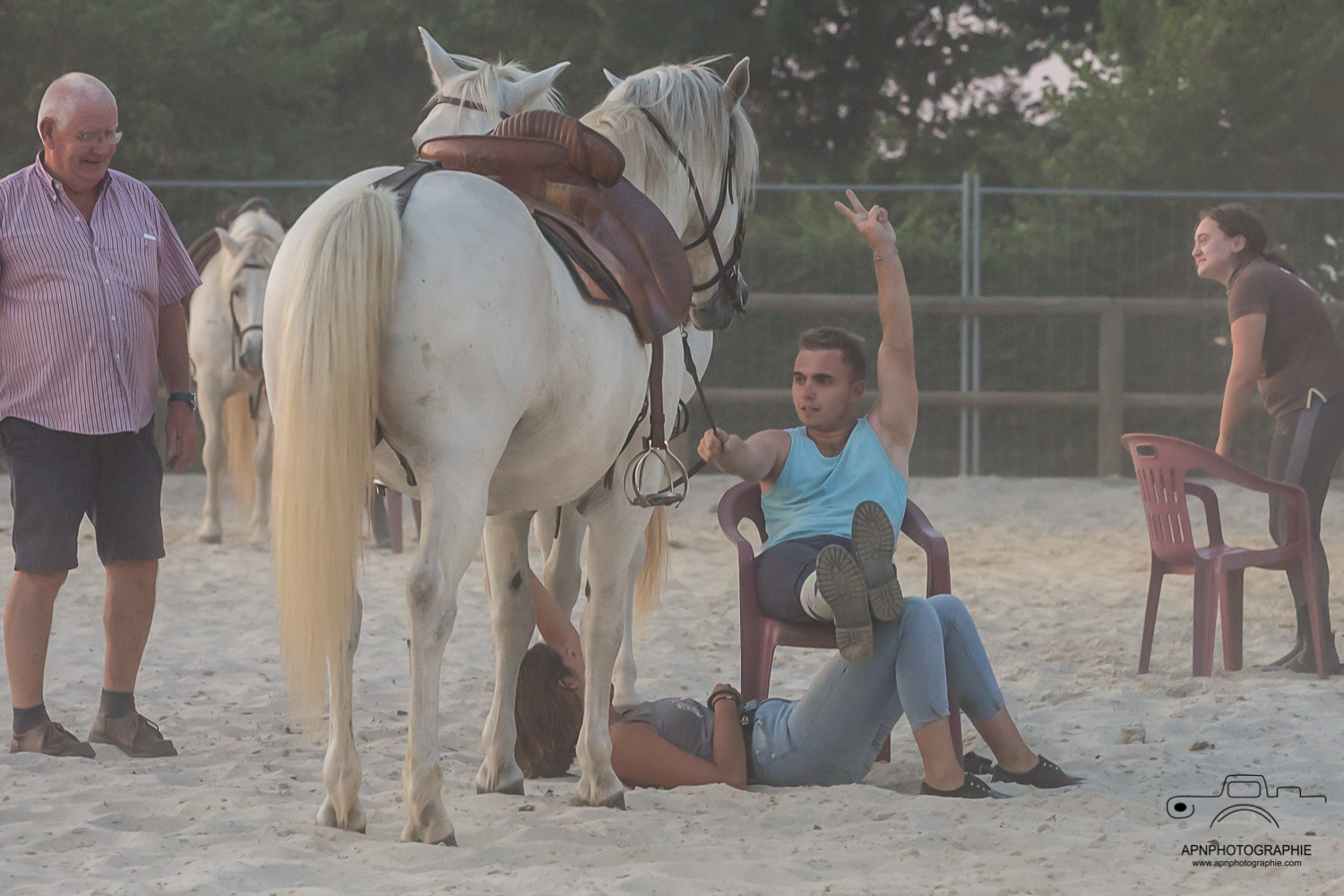 camargue equitation