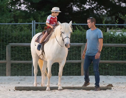 camargue equitation