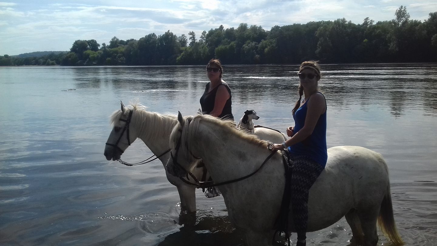 camargue equitation