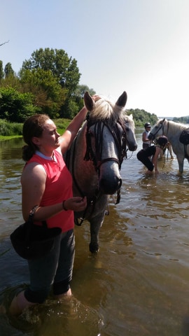 camargue equitation