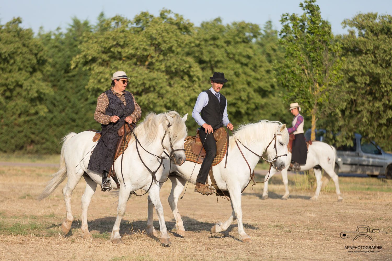 camargue equitation