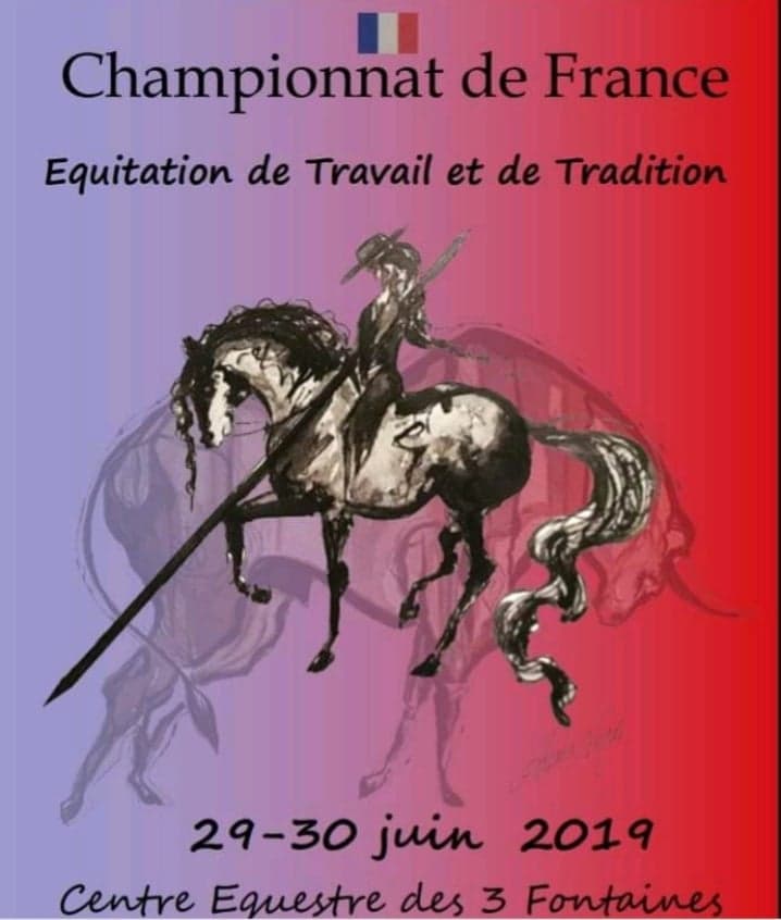 camargue equitation