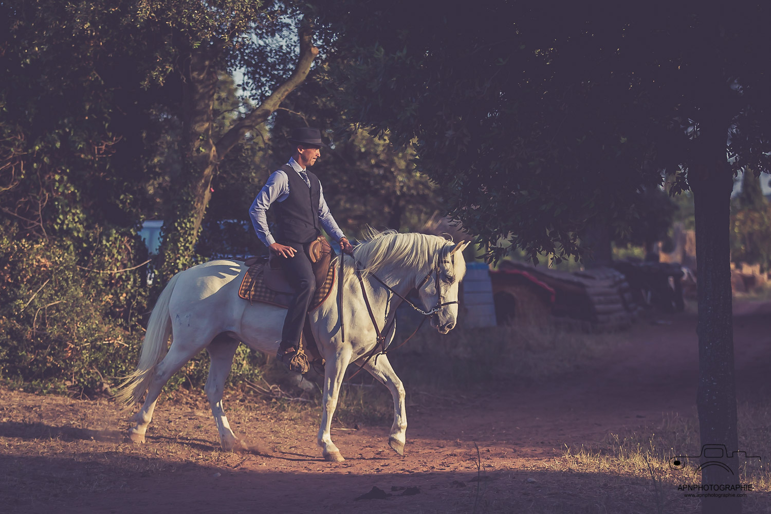 camargue equitation