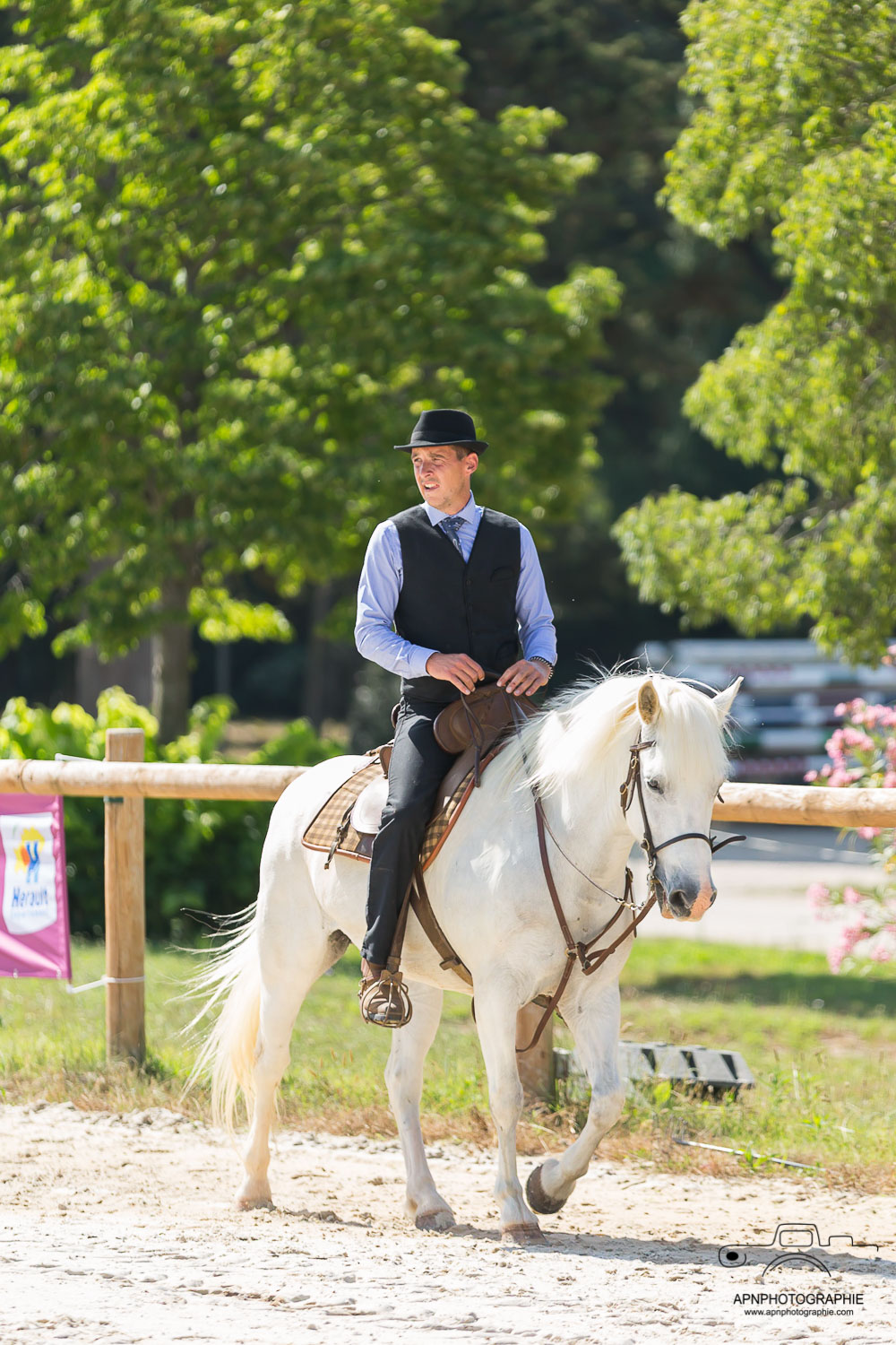camargue equitation