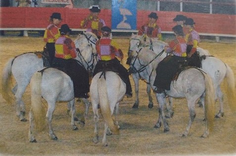 camargue equitation