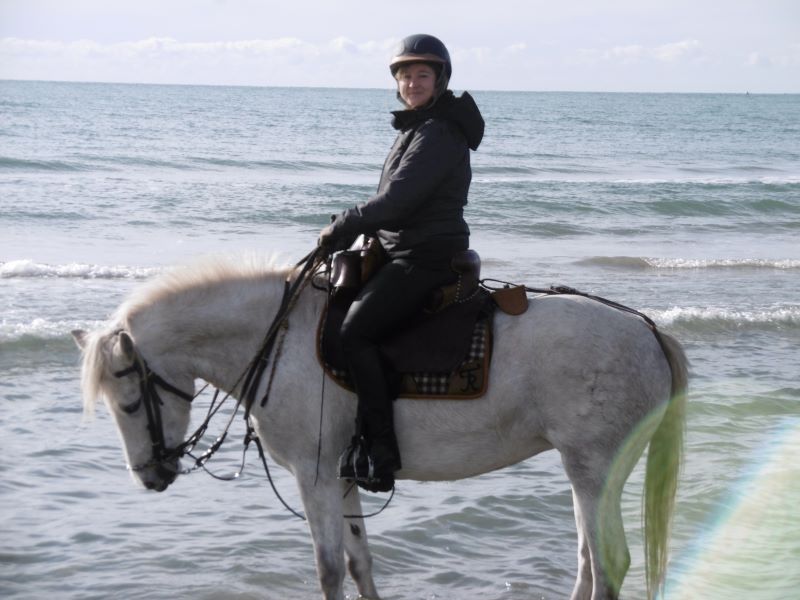 camargue equitation