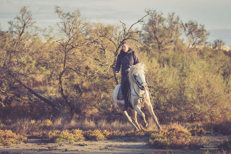 camargue equitation