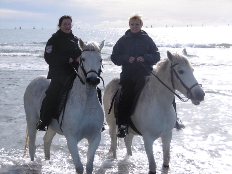 camargue equitation