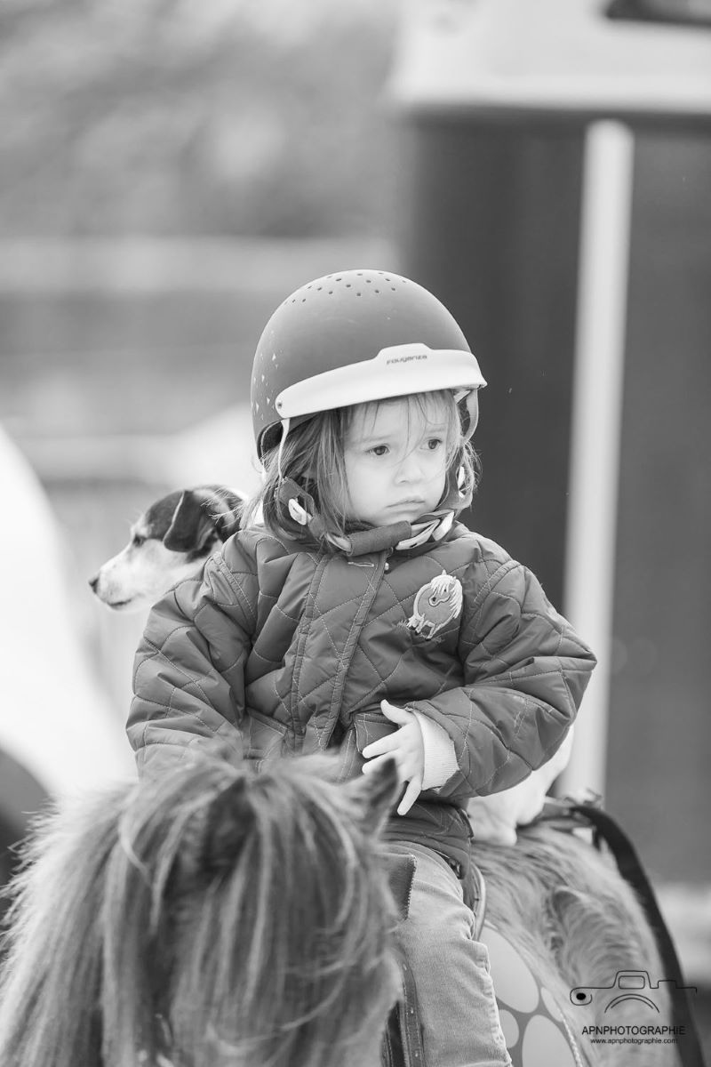 camargue equitation