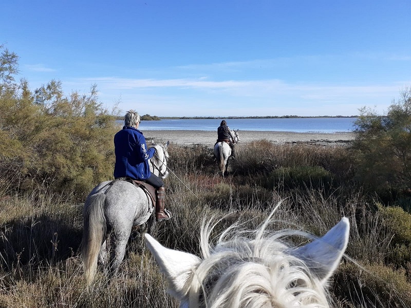 Camargue Equitation