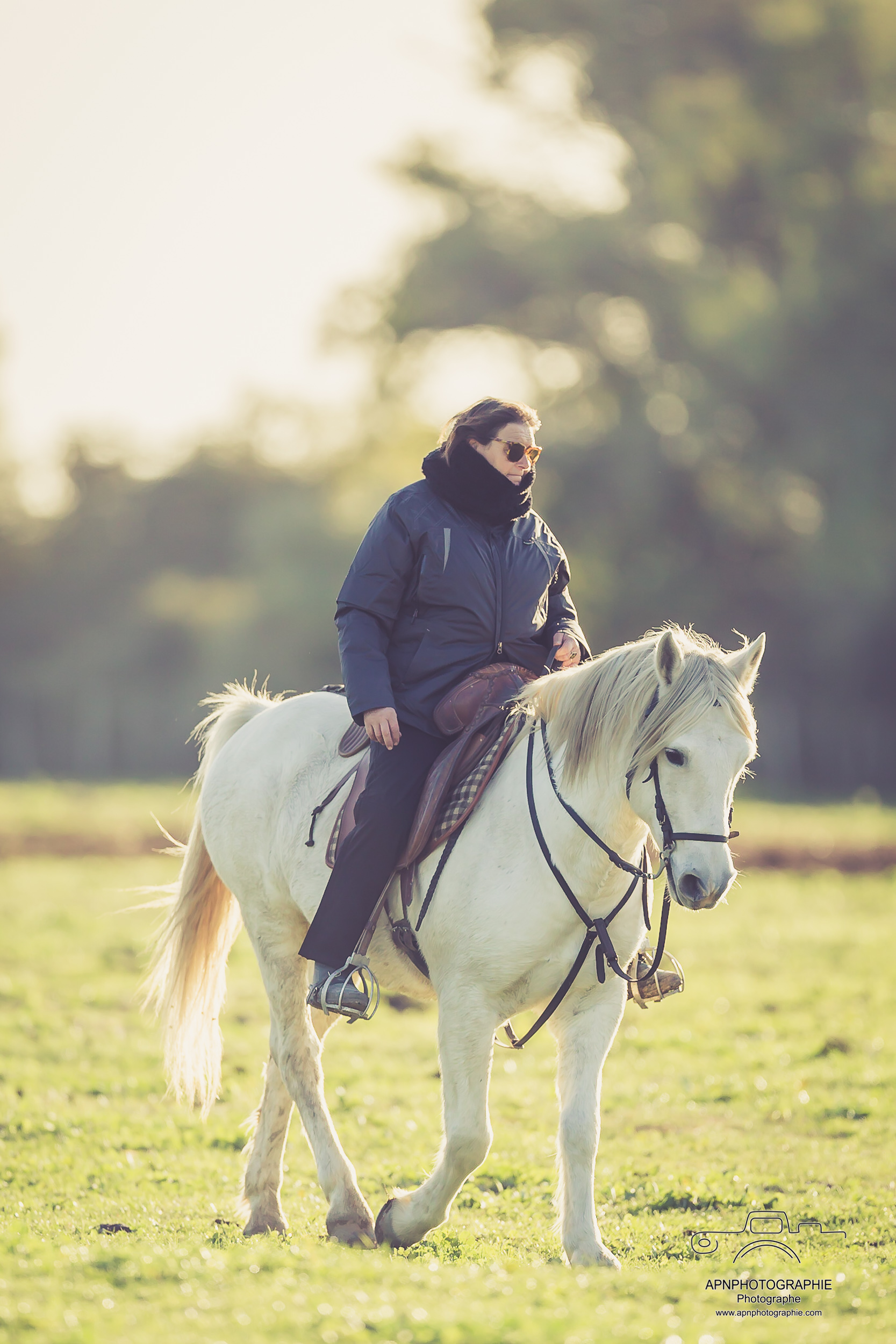camargue equitation