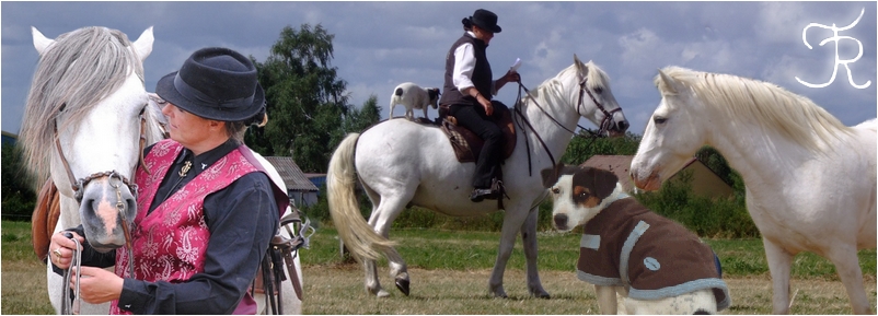 equitation camargue nievre