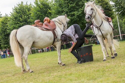 camargue equitation