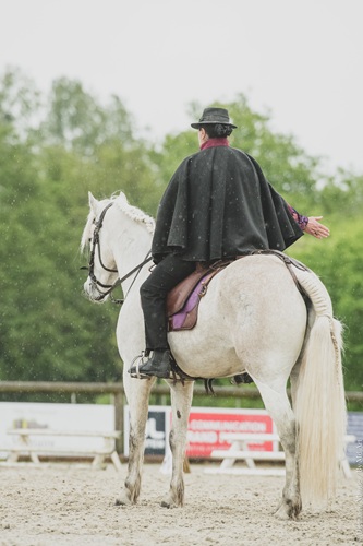 camargue equitation