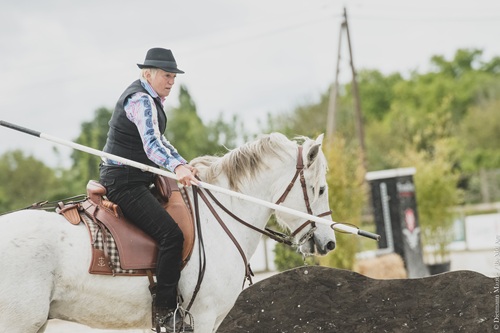 camargue equitation