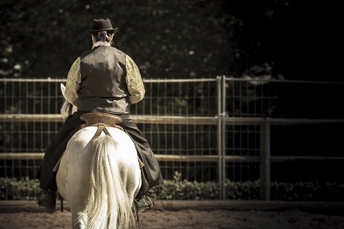 equitation de travail