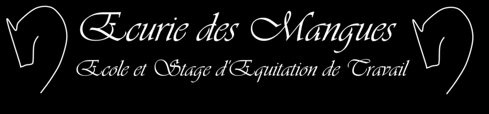 camargue equitation