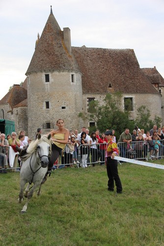 camargue equitation