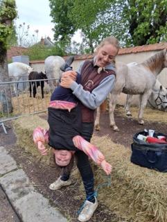 camargue equitation