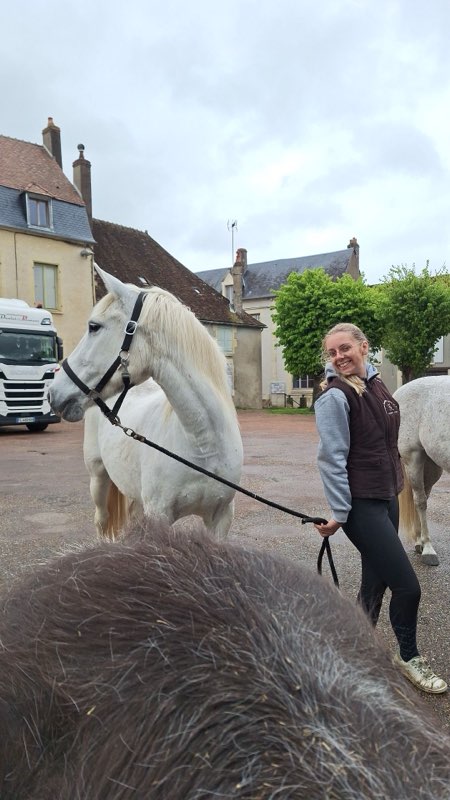 camargue equitation