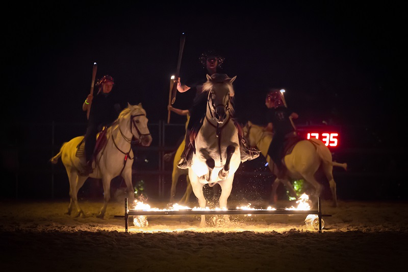 camargue equitation