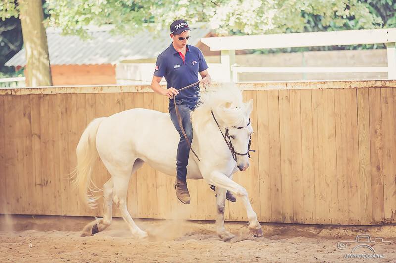 camargue equitation