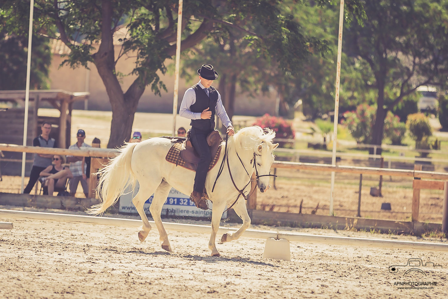 camargue equitation