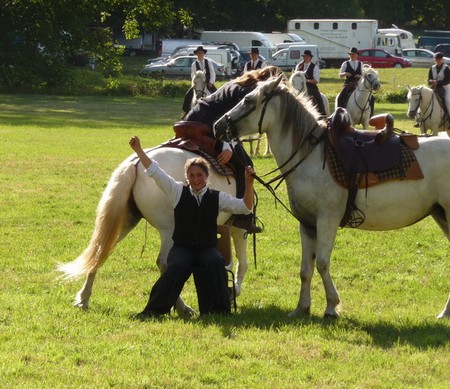 cheval nievre