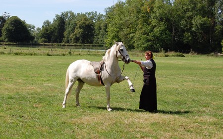 equitation nievre