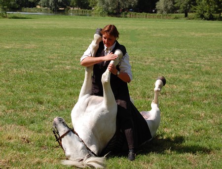 equitation nievre