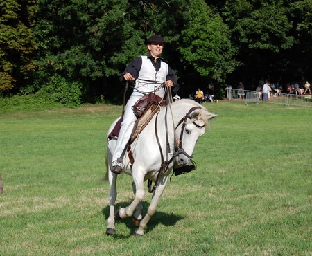cheval nievre