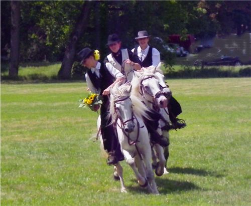 fete de la chasse meillant