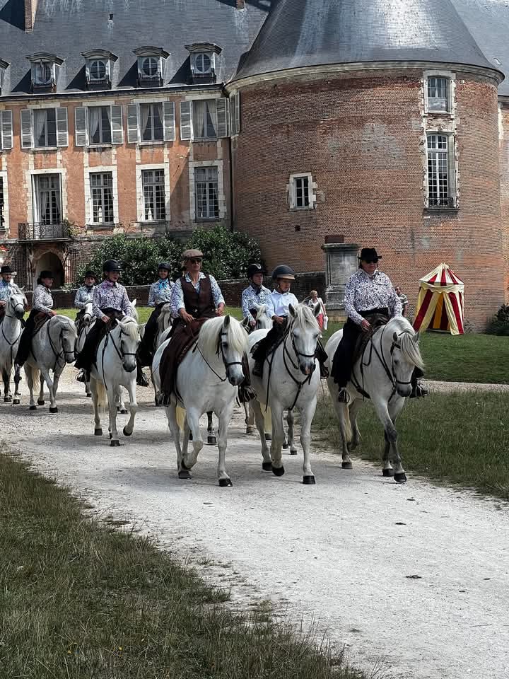 camargue equitation