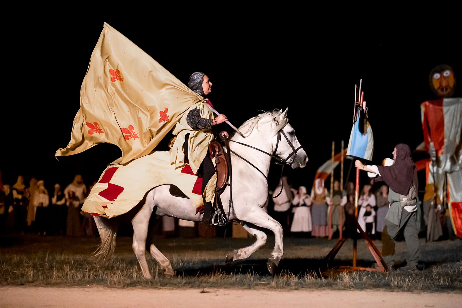 camargue equitation